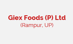 Giex Foods P Ltd - SMA Power Controls